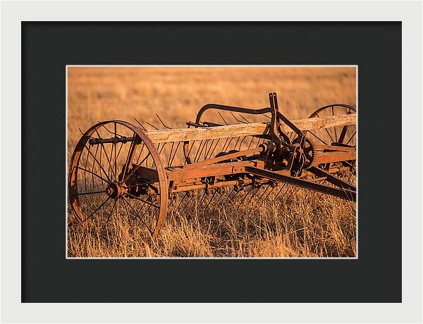 Vintage Hay Tedder In Golden Light