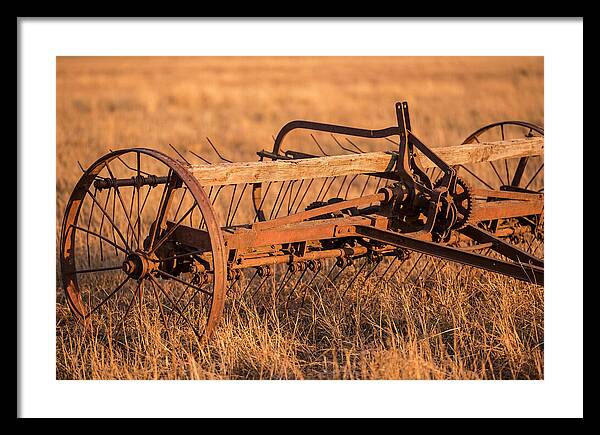Vintage Hay Tedder In Golden Light