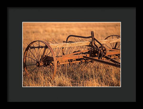 Vintage Hay Tedder In Golden Light
