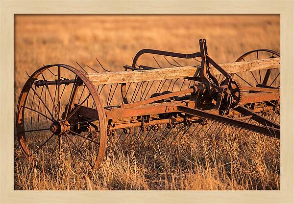 Vintage Hay Tedder In Golden Light