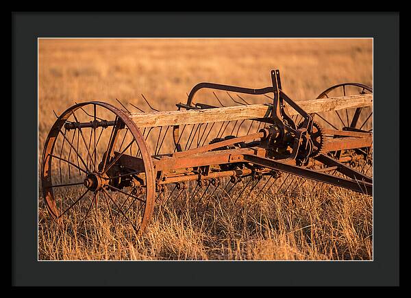 Vintage Hay Tedder In Golden Light