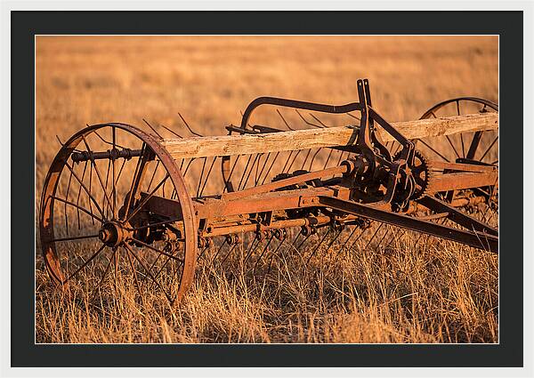 Vintage Hay Tedder In Golden Light