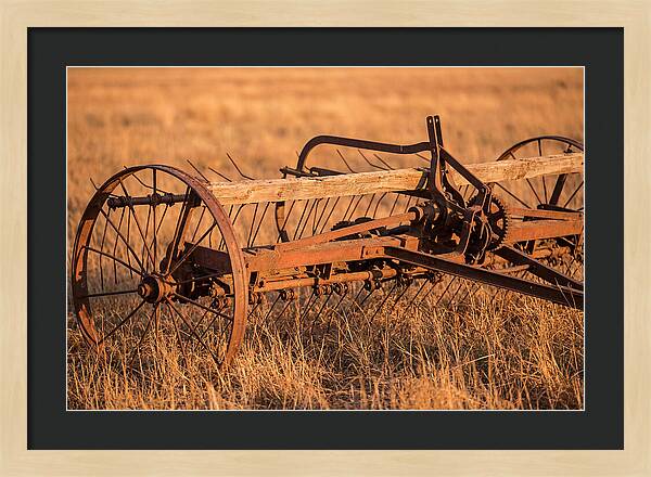 Vintage Hay Tedder In Golden Light