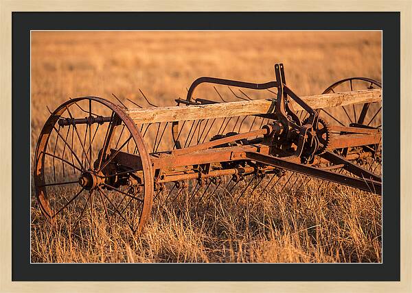 Vintage Hay Tedder In Golden Light