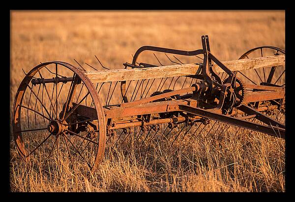 Vintage Hay Tedder In Golden Light