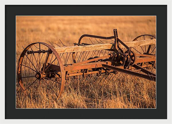 Vintage Hay Tedder In Golden Light