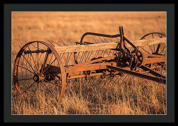 Vintage Hay Tedder In Golden Light