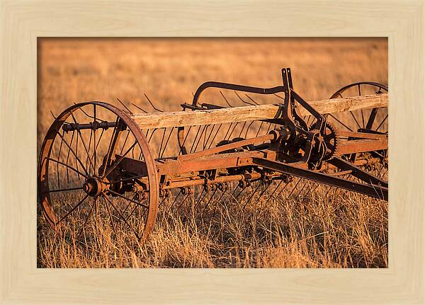 Vintage Hay Tedder In Golden Light