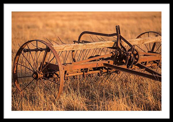 Vintage Hay Tedder In Golden Light