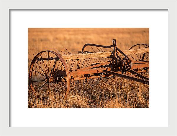 Vintage Hay Tedder In Golden Light