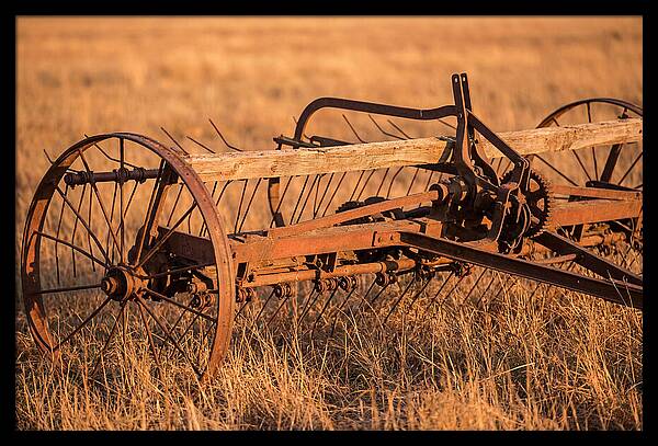Vintage Hay Tedder In Golden Light