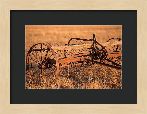 Vintage Hay Tedder In Golden Light