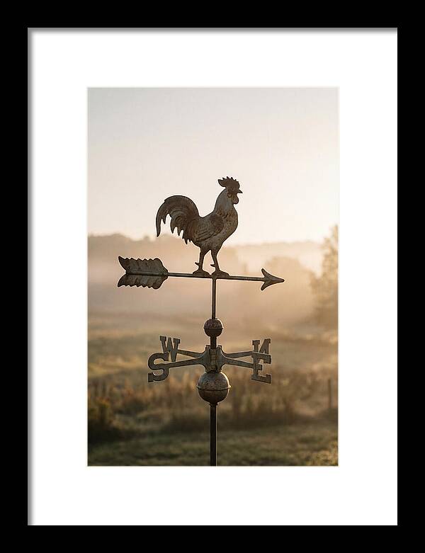 Vintage Iron Weather Vane