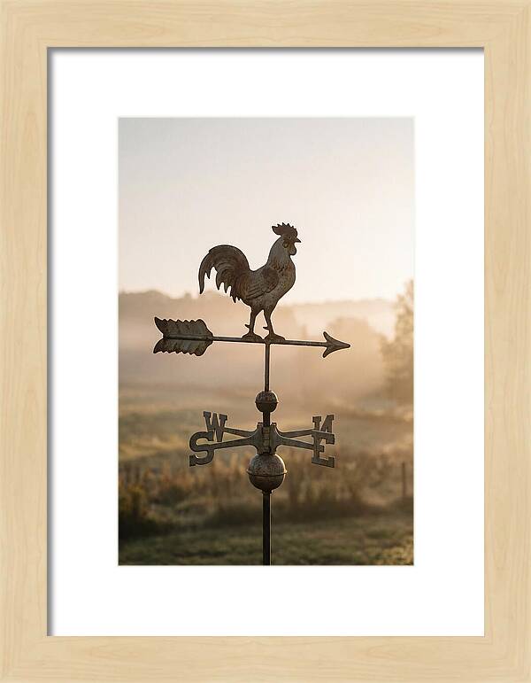 Vintage Iron Weather Vane