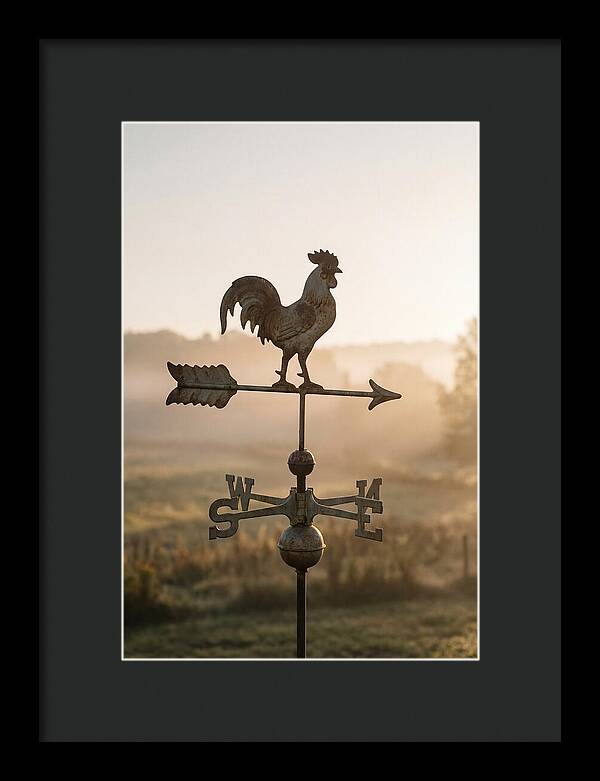 Vintage Iron Weather Vane