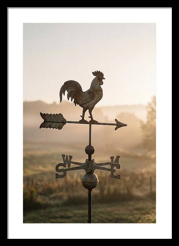 Vintage Iron Weather Vane