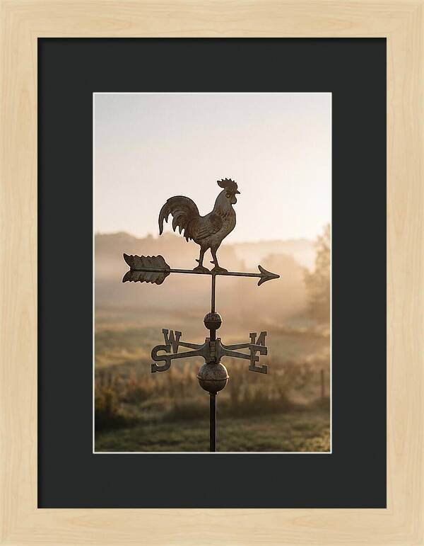 Vintage Iron Weather Vane