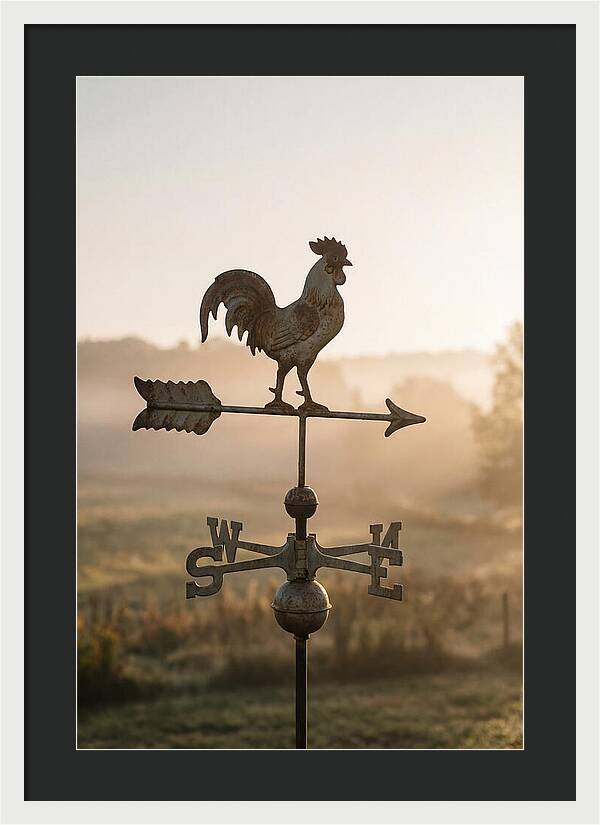 Vintage Iron Weather Vane