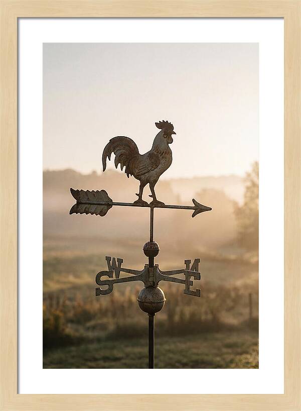 Vintage Iron Weather Vane