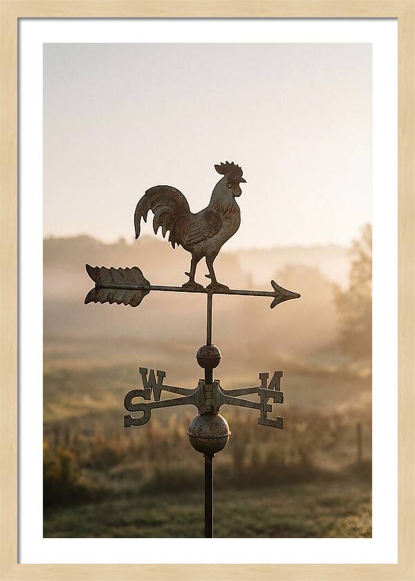 Vintage Iron Weather Vane