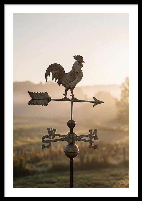 Vintage Iron Weather Vane