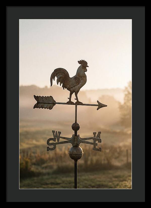 Vintage Iron Weather Vane