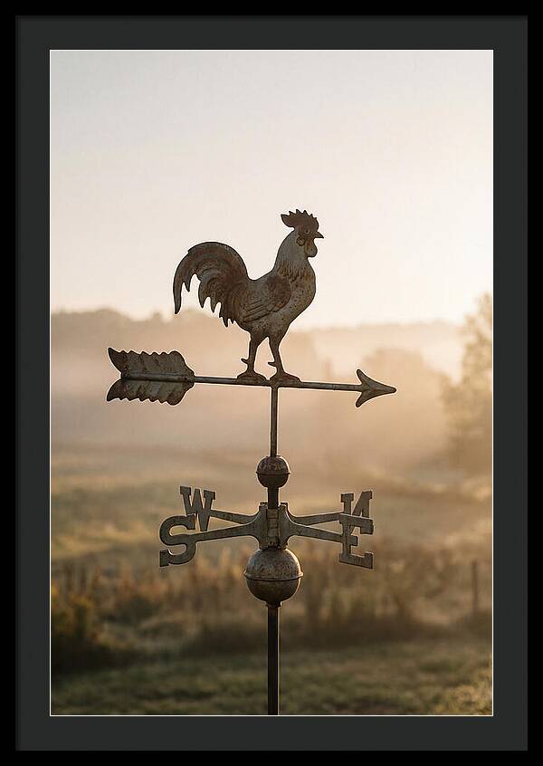Vintage Iron Weather Vane