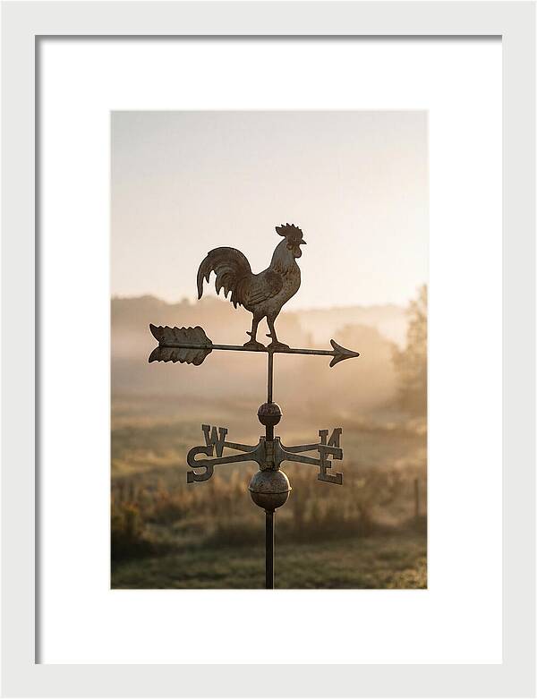 Vintage Iron Weather Vane
