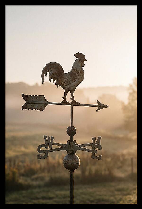Vintage Iron Weather Vane