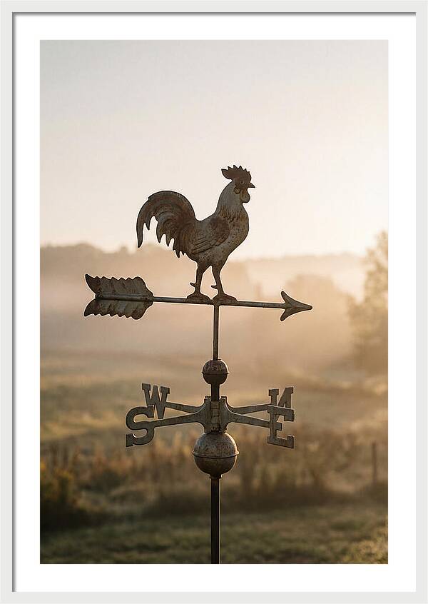 Vintage Iron Weather Vane