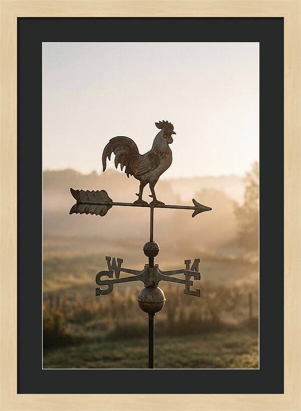 Vintage Iron Weather Vane
