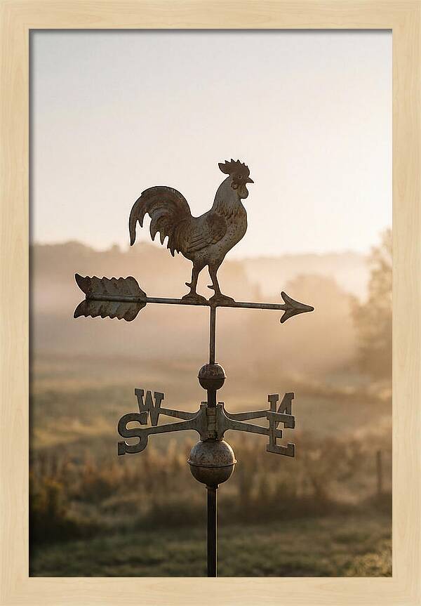 Vintage Iron Weather Vane