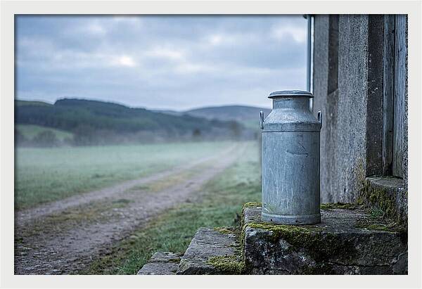 Vintage Metal Milk Churn