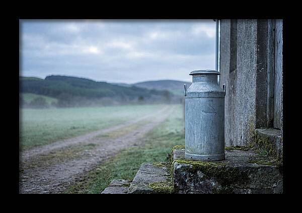 Vintage Metal Milk Churn