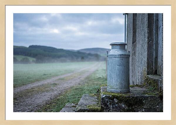 Vintage Metal Milk Churn