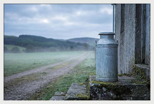 Vintage Metal Milk Churn