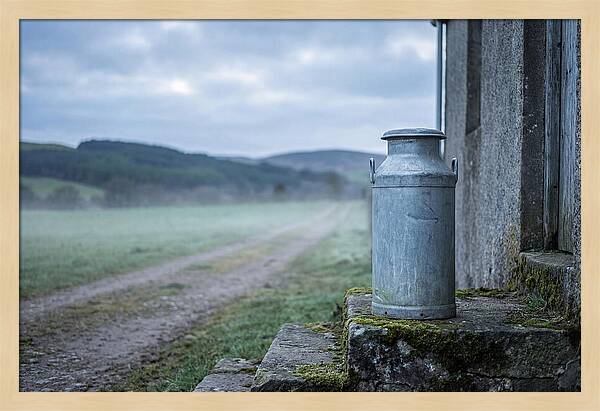 Vintage Metal Milk Churn