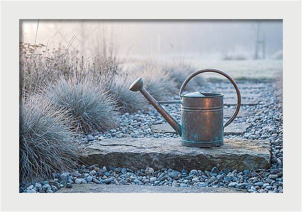Vintage Metal Watering Can