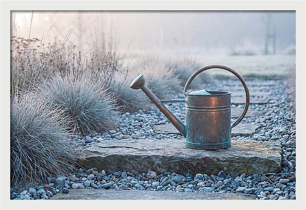 Vintage Metal Watering Can