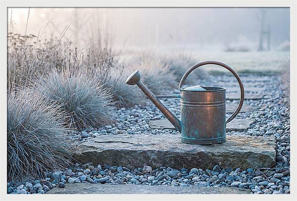 Vintage Metal Watering Can