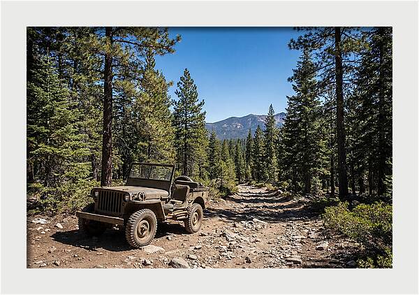 Vintage Military Jeep On Mountain Trail