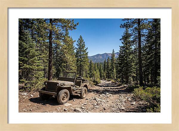 Vintage Military Jeep On Mountain Trail