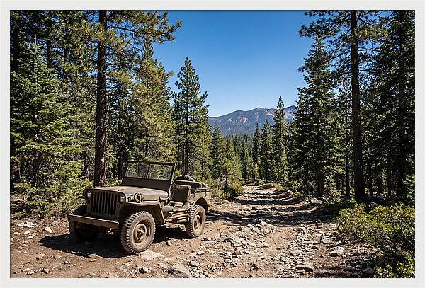 Vintage Military Jeep On Mountain Trail