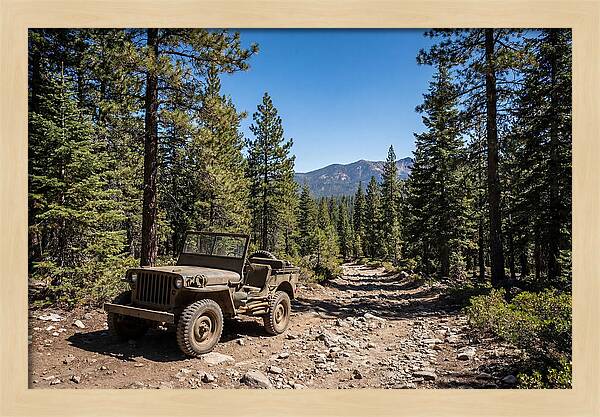 Vintage Military Jeep On Mountain Trail