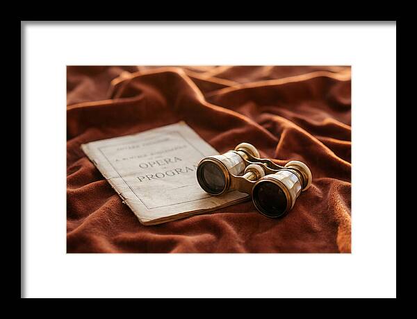 Vintage Opera Glasses On Velvet