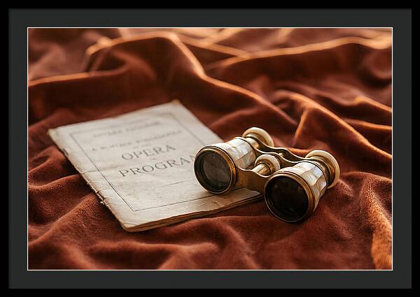 Vintage Opera Glasses On Velvet