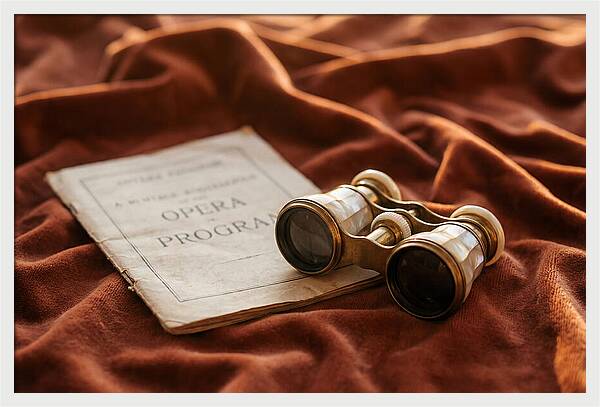 Vintage Opera Glasses On Velvet
