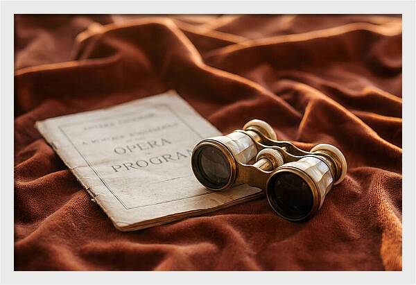 Vintage Opera Glasses On Velvet
