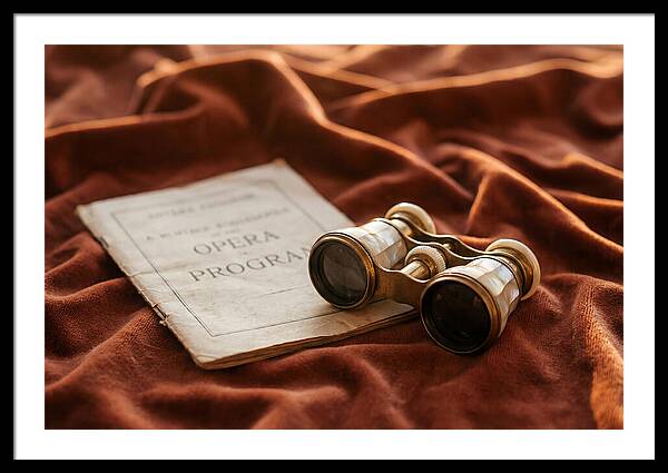 Vintage Opera Glasses On Velvet