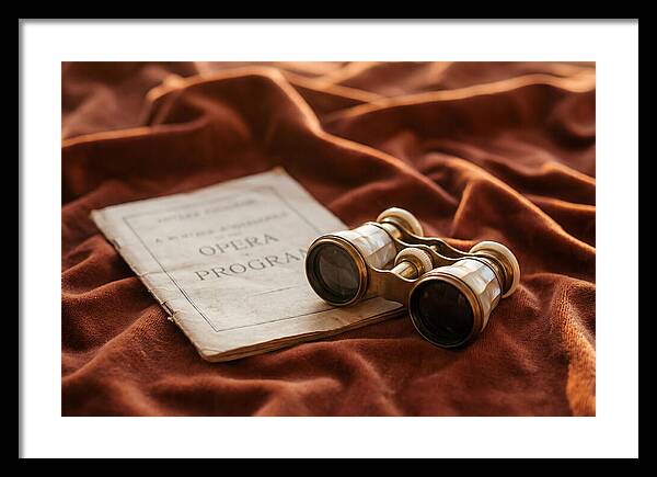 Vintage Opera Glasses On Velvet